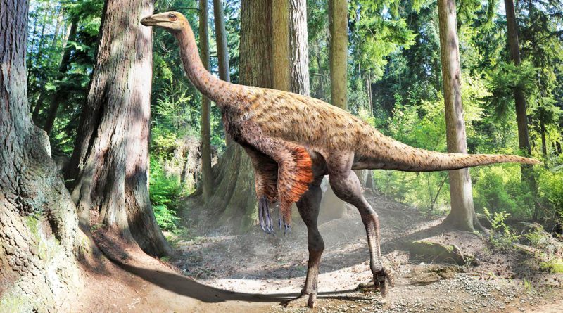 Ornithomimus