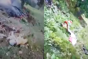 ভারতে হেলিকপ্টার বিধ্বস্ত হয়ে নিহত ৭
